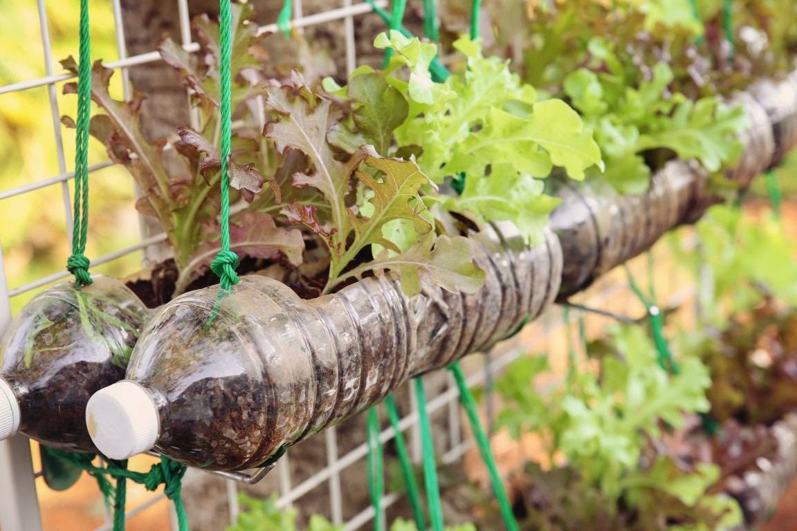 Украшения для сада своими руками: 150 фото оригинальных идей и новинок. Инструкции с пошаговым руководством, схемами и чиртежами