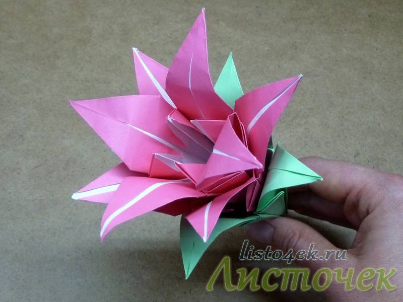 Лилия из бумаги — ТОП-100 фото лучших вариантов изделий. Мастер-класс с пошаговыми схемами и чертежами для создания лилии оригами своими руками