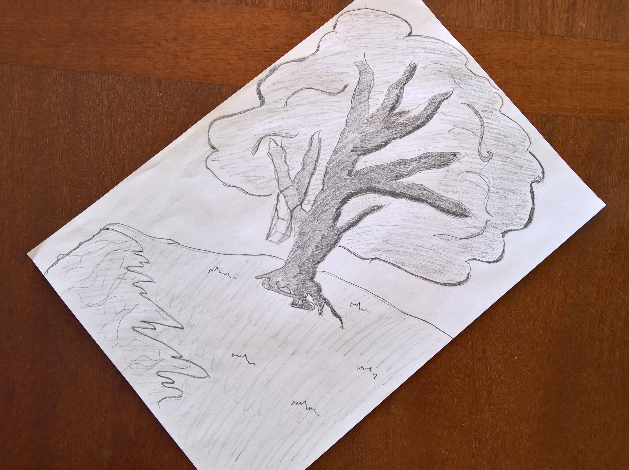 Как нарисовать дерево: топ-100 фото лучших примеров рисунков. поэтапный мастер-класс по рисованию дерева своими руками