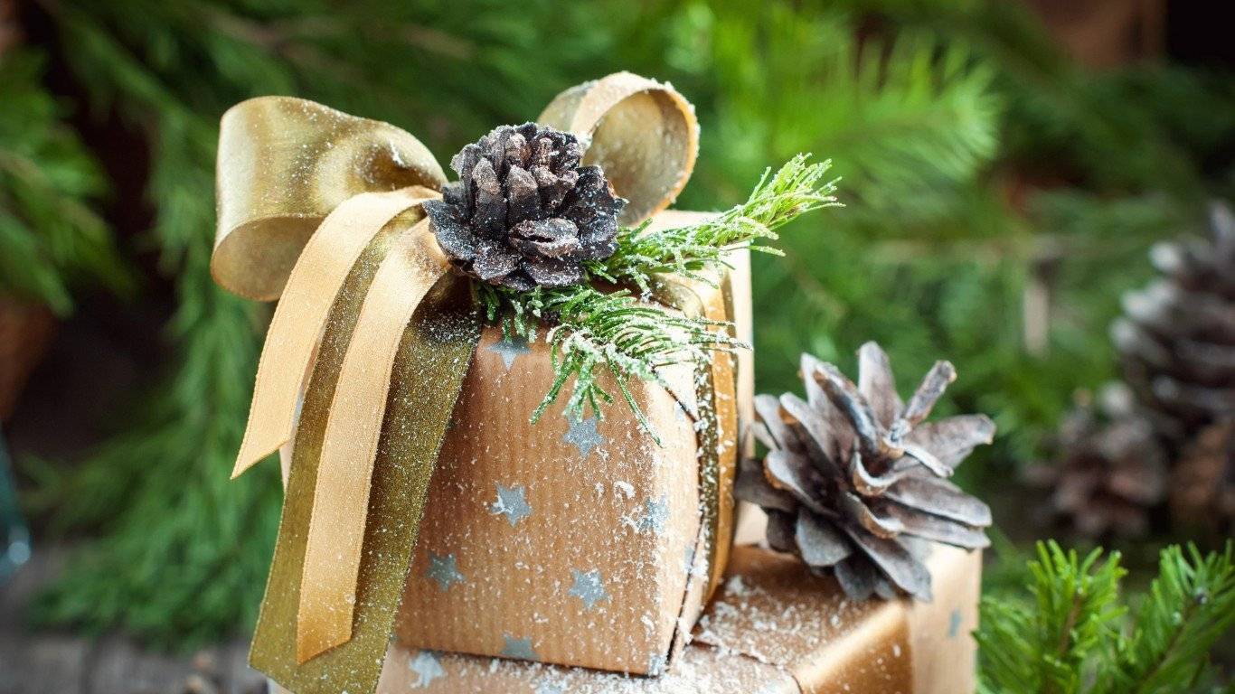 Поделки из шишек и пластилина