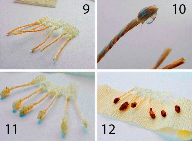 Лилия из бумаги — ТОП-100 фото лучших вариантов изделий. Мастер-класс с пошаговыми схемами и чертежами для создания лилии оригами своими руками