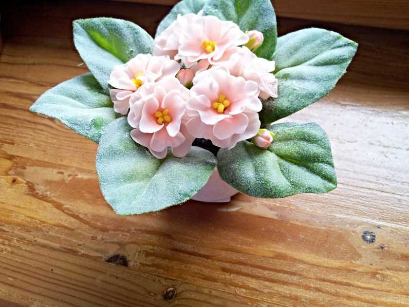 Цветы из холодного фарфора