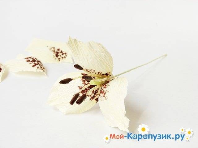 Лилия из бумаги — ТОП-100 фото лучших вариантов изделий. Мастер-класс с пошаговыми схемами и чертежами для создания лилии оригами своими руками