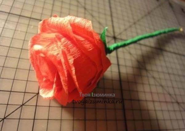 Розы из бумаги