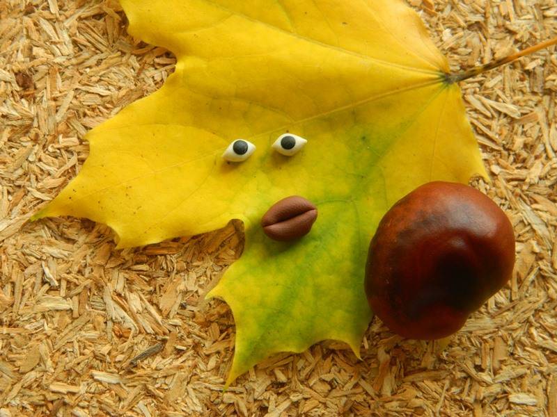 Поделки из каштанов