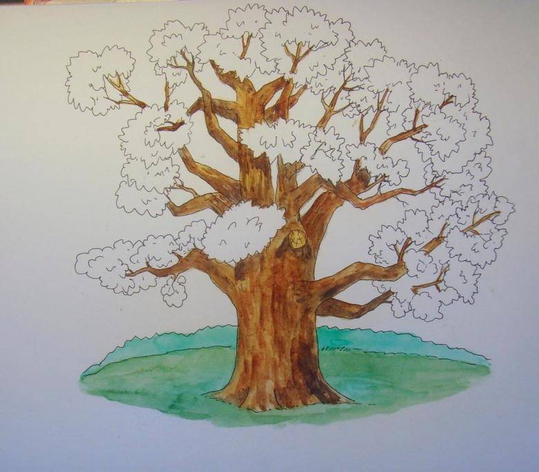 Как нарисовать дерево карандашом
