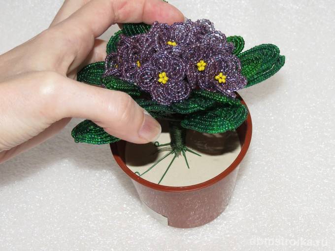 Фиалка из бисера — ТОП-120 фото оригинальных поделок из бисера. Простые схемы плетения фиалки своими руками + пошаговая инструкция