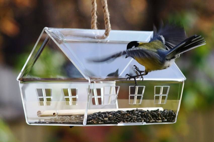 Кормушки для птиц