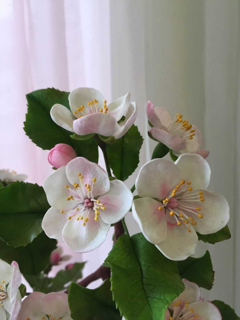 Холодный фарфор: особенности и способы изготовления в домашних условиях. Обзоры лучших рецептов + 120 фото