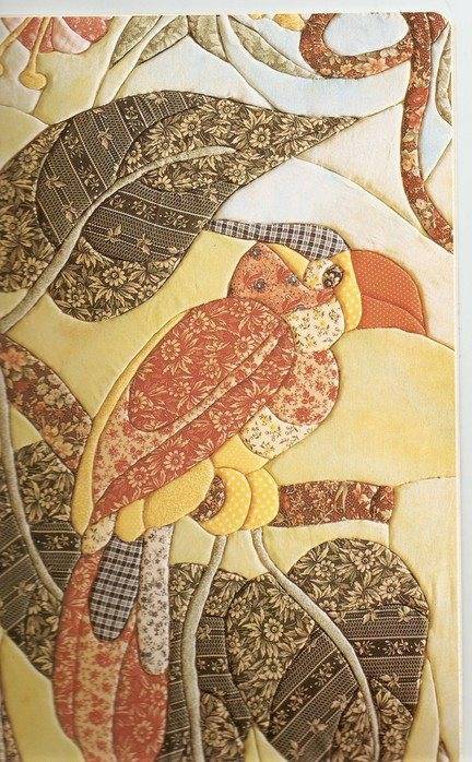 Кинусайга для начинающих