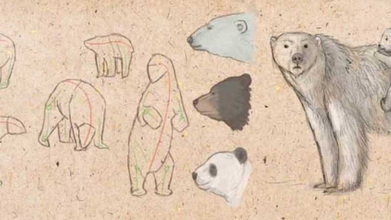 Рисунки карандашом поэтапно: ТОП-150 фото необычных идей рисования карандашом. Поэтапная инструкция создания рисунков своими руками