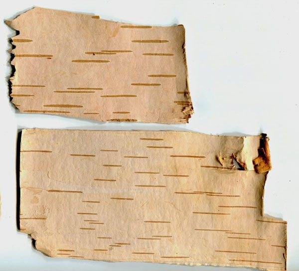 Береста: простые пошаговые мастер-классы по созданию поделок из бересты своими руками. Идеи оригинальных изделий с фото-примерами