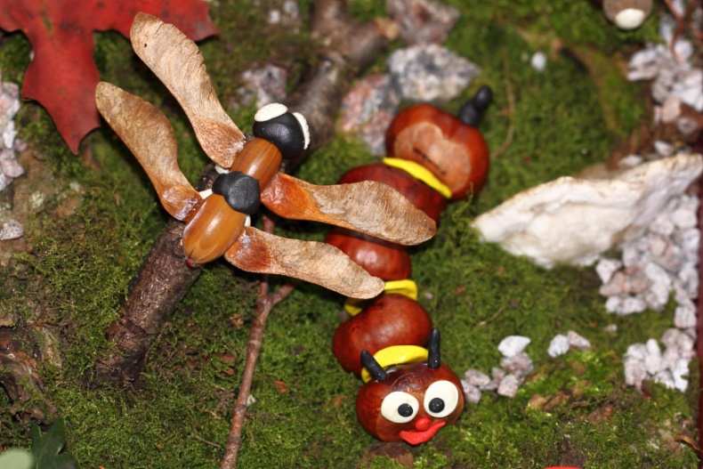 Поделки из каштанов