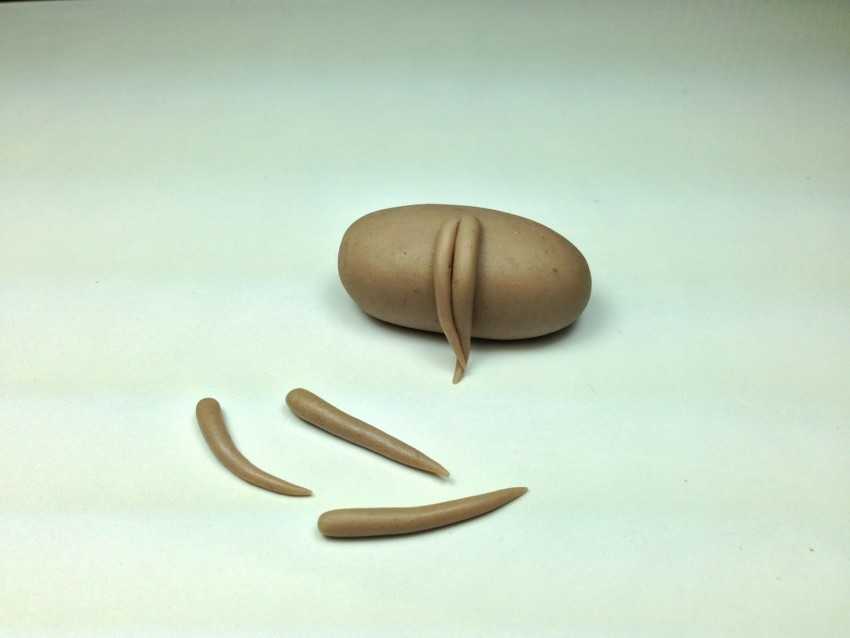 Что можно слепить из пластилина — мастер-класс по созданию поделок из пластилина своими руками. Креативные идеи лепки + фото-примеры лучших работ