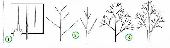 Как нарисовать дерево — лучшие способы рисования дерева своими руками. Простые схемы рисунков для начинающих с фото-примерами работ