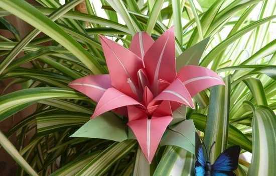 Лилия из бумаги — ТОП-100 фото лучших вариантов изделий. Мастер-класс с пошаговыми схемами и чертежами для создания лилии оригами своими руками