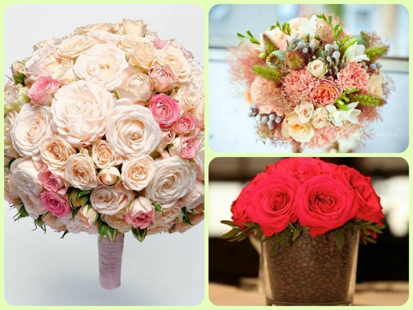 Букеты из ракушек