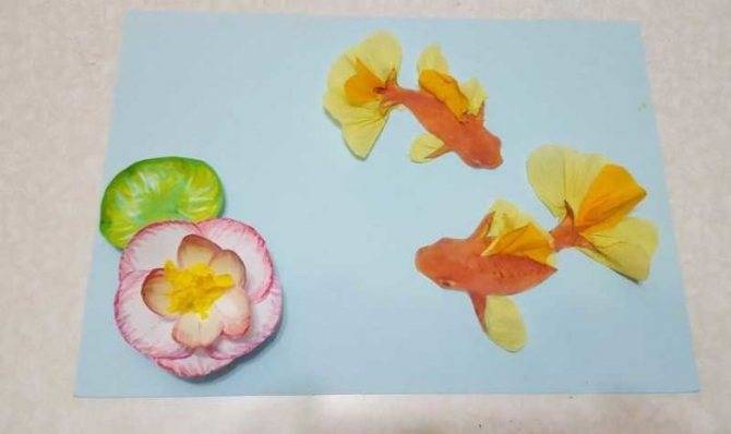 Аппликации из бумаги