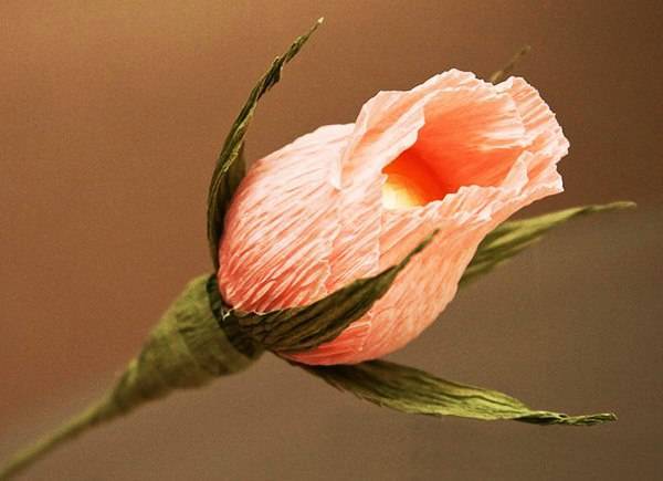 Букет из конфет своими руками: пошаговый мастер-класс по созданию букета из конфет. Обзоры оригинальных идей композиций с фото готовых работ