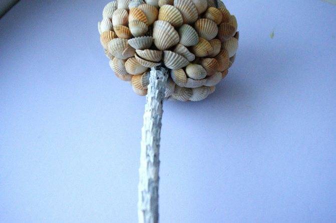 Букеты из ракушек