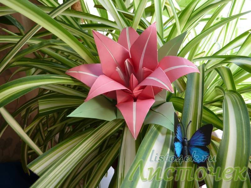 Лилия из бумаги — ТОП-100 фото лучших вариантов изделий. Мастер-класс с пошаговыми схемами и чертежами для создания лилии оригами своими руками