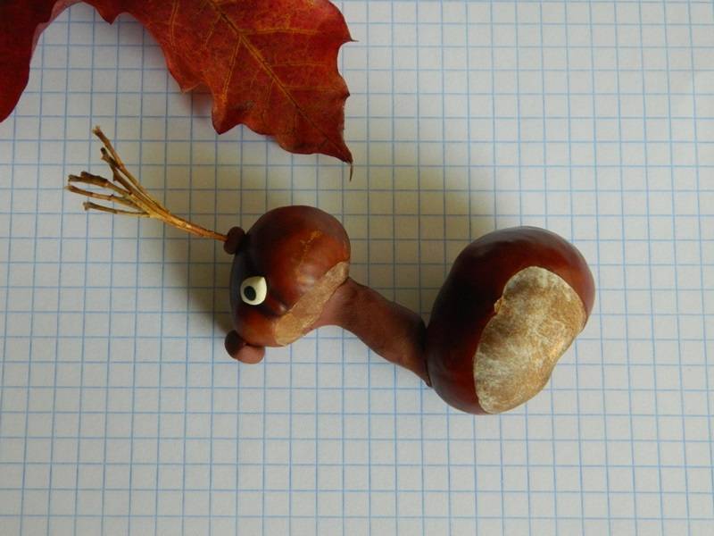 Поделки из каштанов