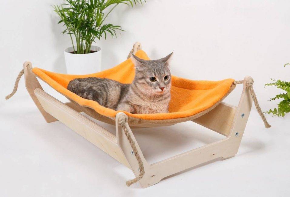 Домик для кота своими руками: ТОП-120 фото нестандартных вариантов оформления. Мастер-класс по созданию кошачьего домика своими руками