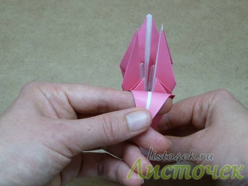 Лилия из бумаги — ТОП-100 фото лучших вариантов изделий. Мастер-класс с пошаговыми схемами и чертежами для создания лилии оригами своими руками