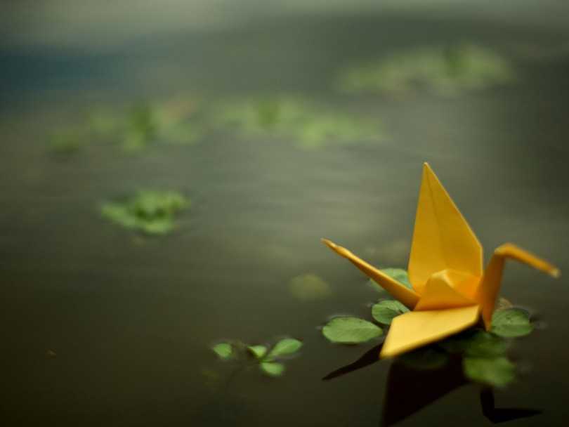 Поделка журавль — простые схемы создания поделки в домашних условиях с фото пошагово + оригинальные идеи для детей