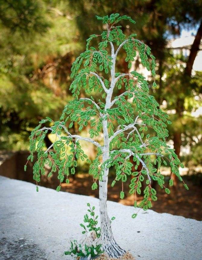 Береза из бисера: красивые и оригинальные изделия своими руками. Подробная технология плетения бисером в домашних условиях + фото готовых работ