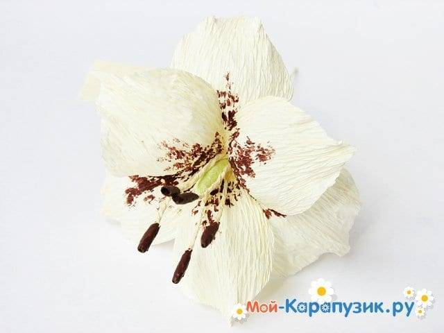 Лилия из бумаги — ТОП-100 фото лучших вариантов изделий. Мастер-класс с пошаговыми схемами и чертежами для создания лилии оригами своими руками