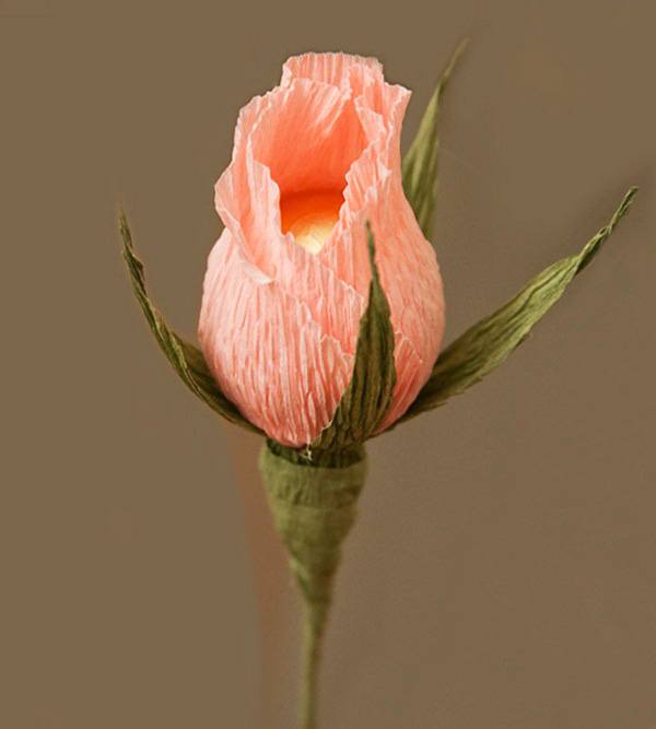 Букет из конфет своими руками: пошаговый мастер-класс по созданию букета из конфет. Обзоры оригинальных идей композиций с фото готовых работ