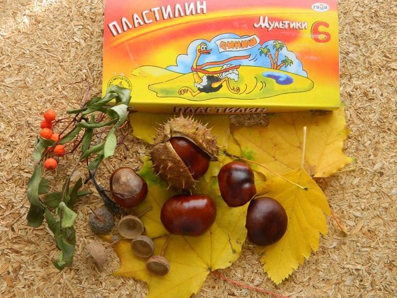 Поделки из каштанов