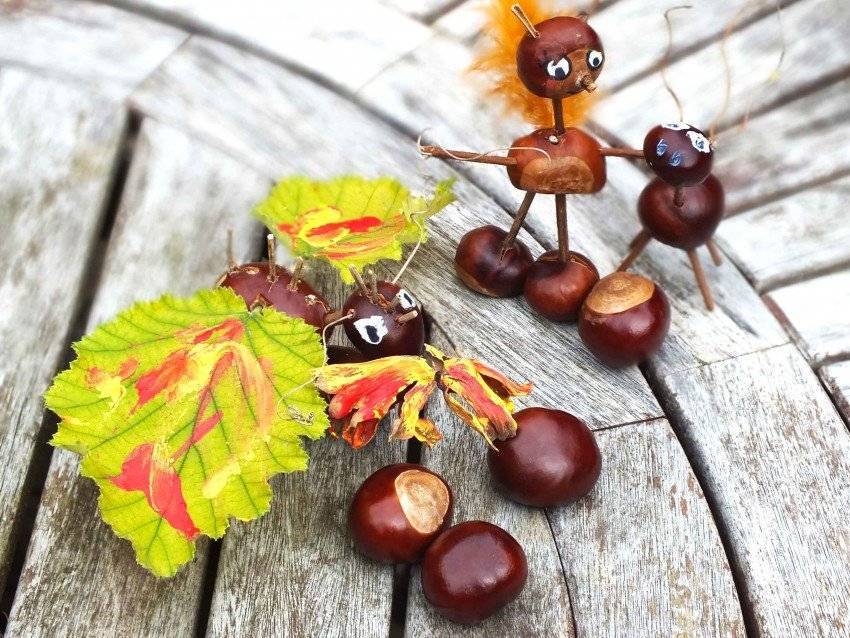 Поделки из каштанов своими руками на тему осень для детей: мастер-классы с фото