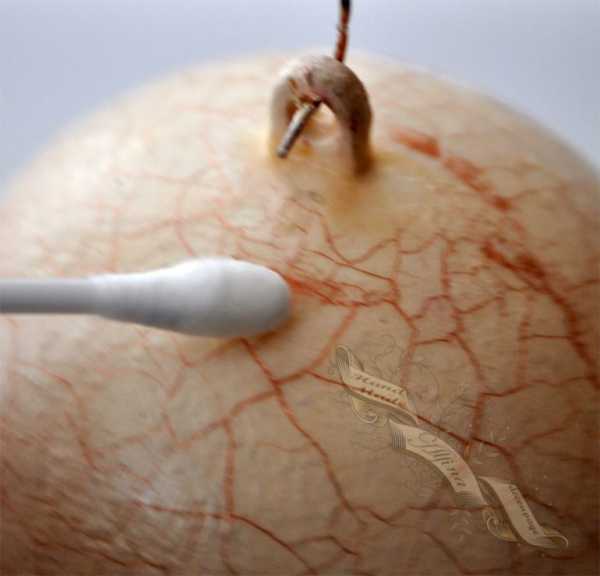 Роспись ёлочных шаров