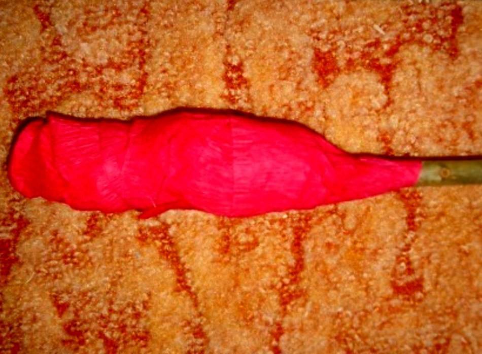 Цветы из гофрированной бумаги своими руками — лучший мастер-класс для начинающих с рекомендациями мастеров пошагово + оригинальные примеры поделок (190 фото)