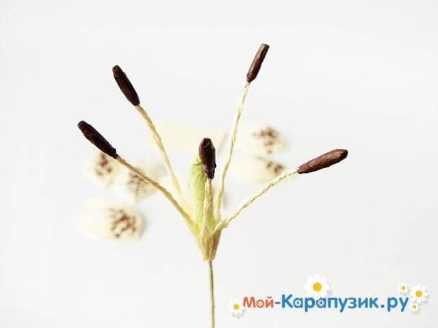 Лилия из бумаги — ТОП-100 фото лучших вариантов изделий. Мастер-класс с пошаговыми схемами и чертежами для создания лилии оригами своими руками