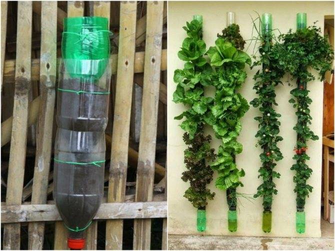 Как нарисовать дерево — лучшие способы рисования дерева своими руками. Простые схемы рисунков для начинающих с фото-примерами работ