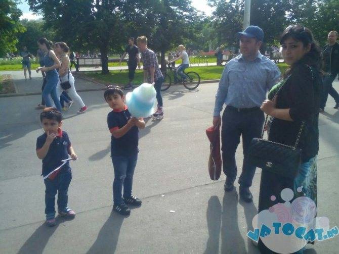Цветы из ватных палочек: ТОП-110 фото лучших поделок из ватных палочек. Пошаговая инструкция по созданию поделок цветы своими руками для начинающих