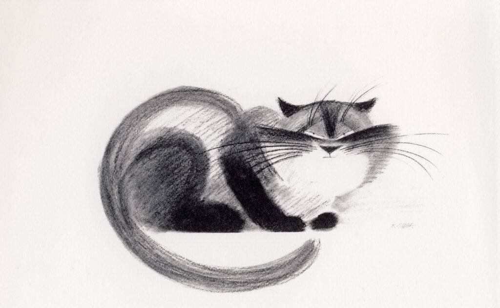 Рисунки карандашом поэтапно: ТОП-150 фото необычных идей рисования карандашом. Поэтапная инструкция создания рисунков своими руками