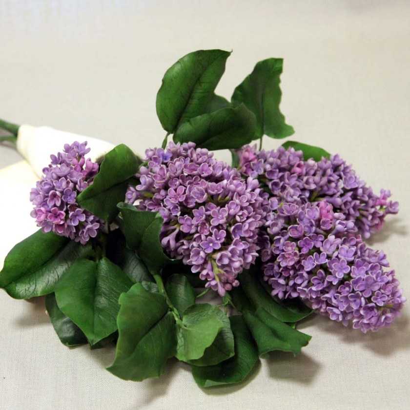 Холодный фарфор: особенности и способы изготовления в домашних условиях. Обзоры лучших рецептов + 120 фото