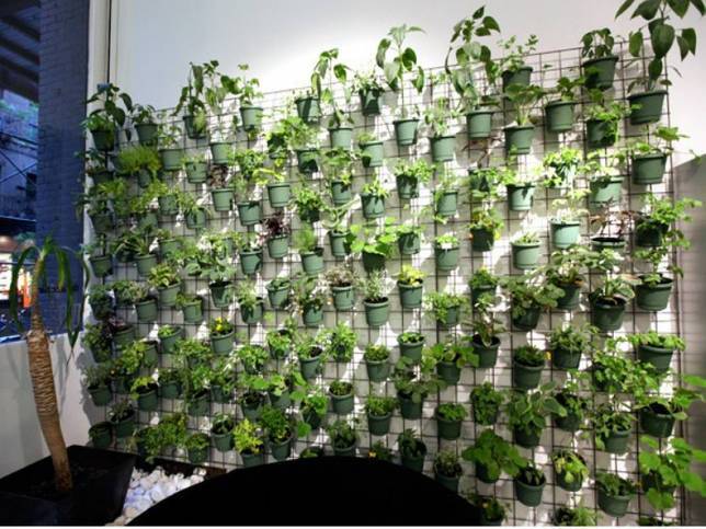 Поделки из пластиковых бутылок для детей