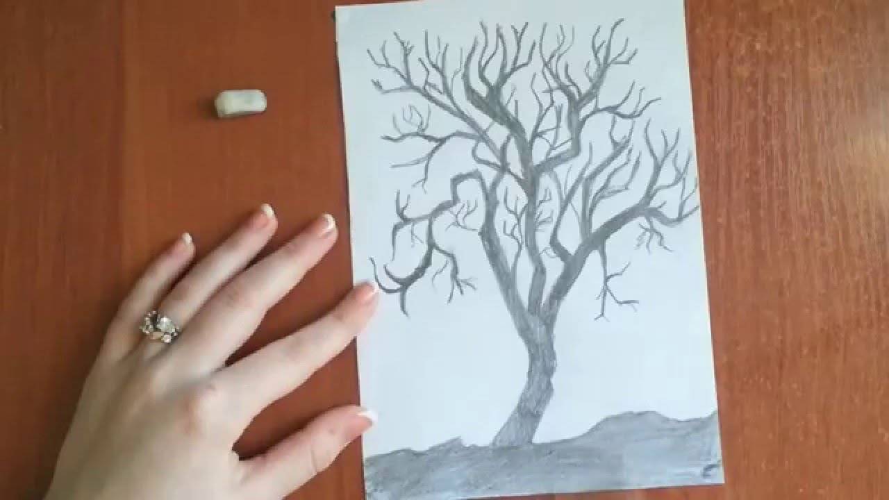 Как нарисовать семейное дерево: своими руками ребенку в школу