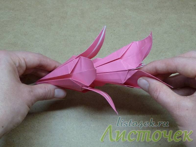 Лилия из бумаги — ТОП-100 фото лучших вариантов изделий. Мастер-класс с пошаговыми схемами и чертежами для создания лилии оригами своими руками