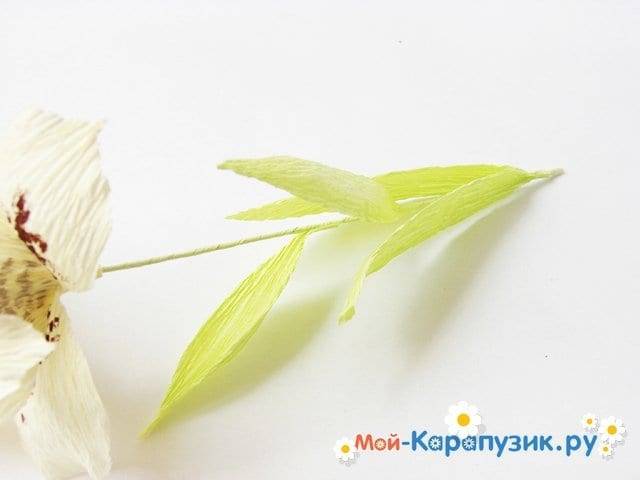 Лилия из бумаги — ТОП-100 фото лучших вариантов изделий. Мастер-класс с пошаговыми схемами и чертежами для создания лилии оригами своими руками