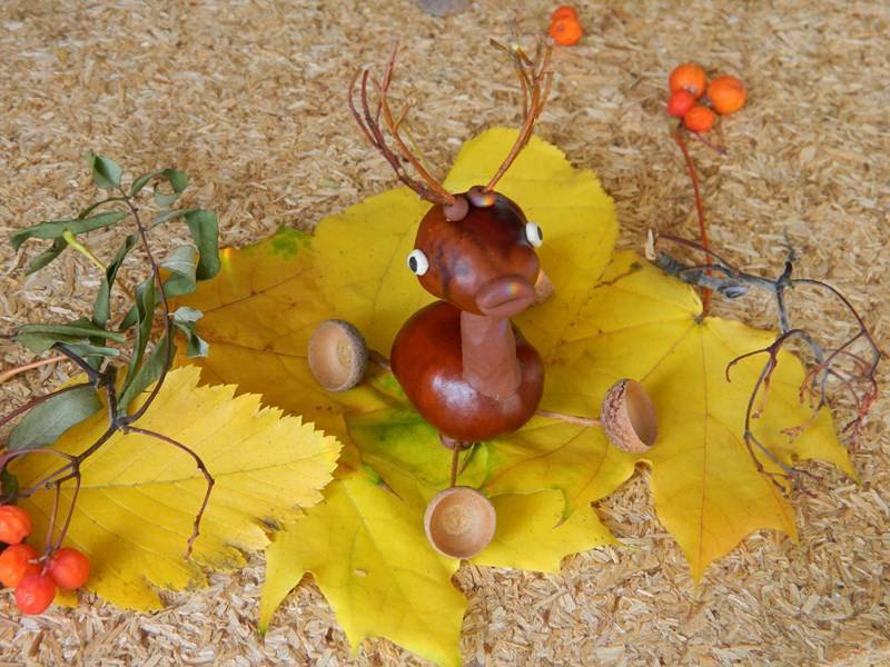 Поделки из каштанов