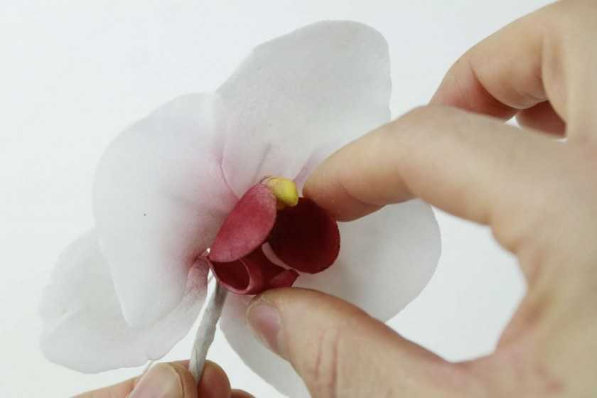 Цветы из холодного фарфора