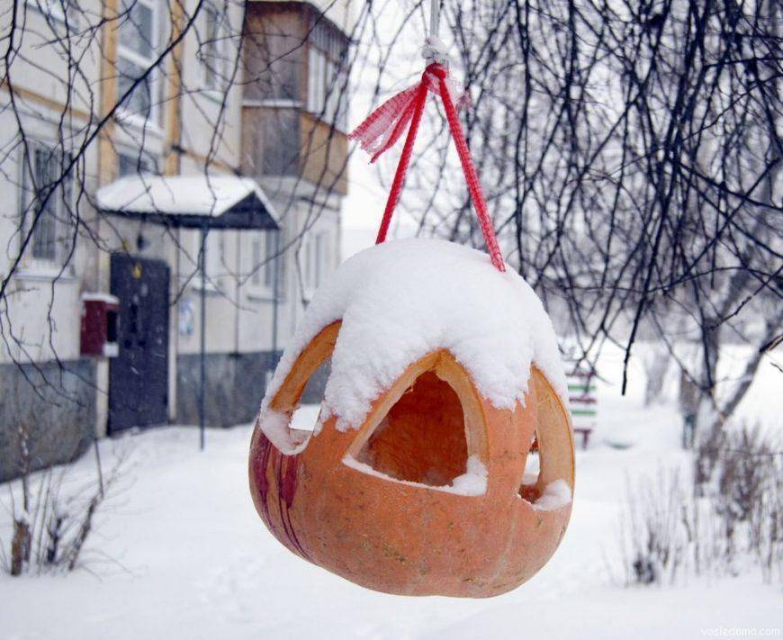 Кормушка для птиц своими руками: лучшие идеи изготовления простых и красивых кормушек своими руками + мастер-класс с фото-обзором