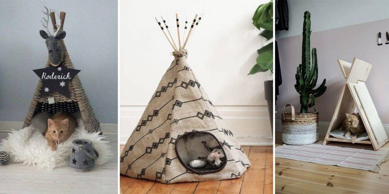 Домик для кота своими руками: ТОП-120 фото нестандартных вариантов оформления. Мастер-класс по созданию кошачьего домика своими руками