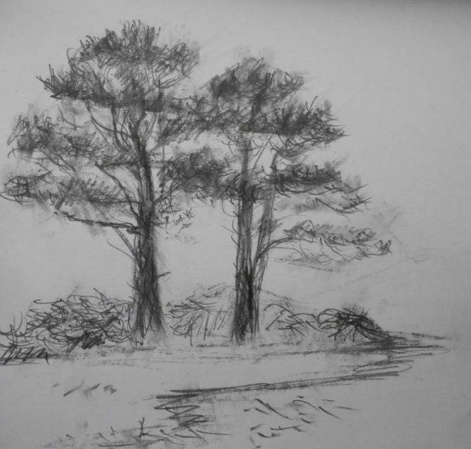 Как нарисовать дерево — лучшие способы рисования дерева своими руками. Простые схемы рисунков для начинающих с фото-примерами работ